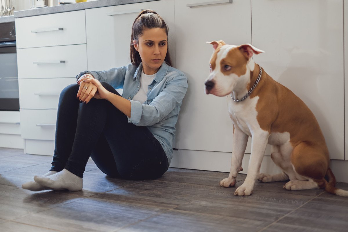 犬をイライラさせる飼い主の行動7選！何気なくやっている行動が負担を掛けている可能性も…