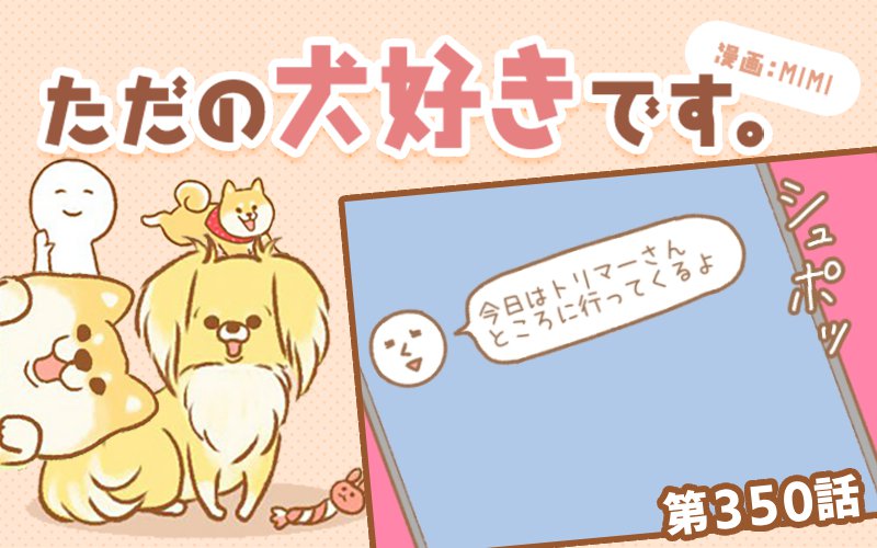 ただの犬好きです。【第350】「思ってたんと違う」