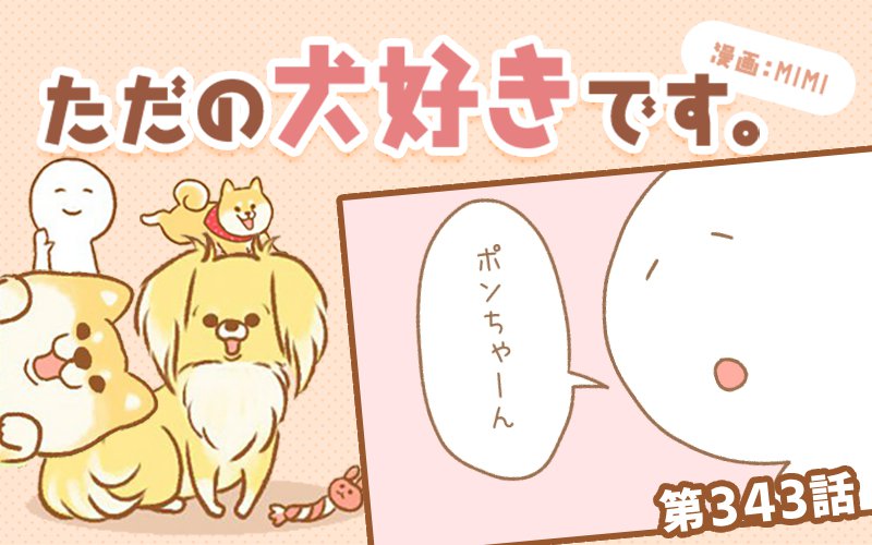 ただの犬好きです。【第343話】「かくれんぼ」