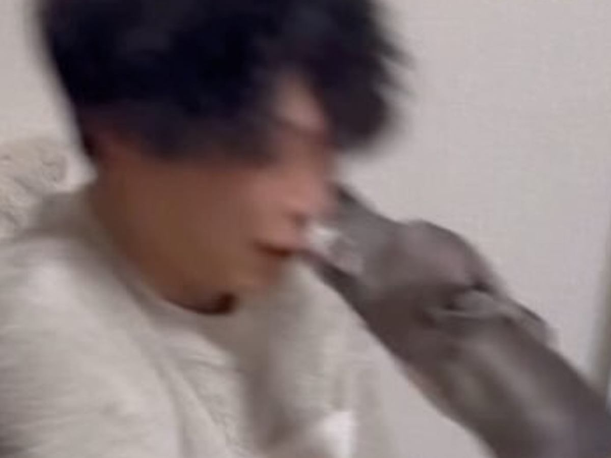 鼻にティッシュを入れたパパ→犬と遊んでいたら『本気モード』になってしまい…次の瞬間に起こった災難に「狩猟対象w」「ウチも同じ」の声