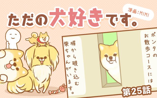 ただの犬好きです。【第25話】「交わらない視線」