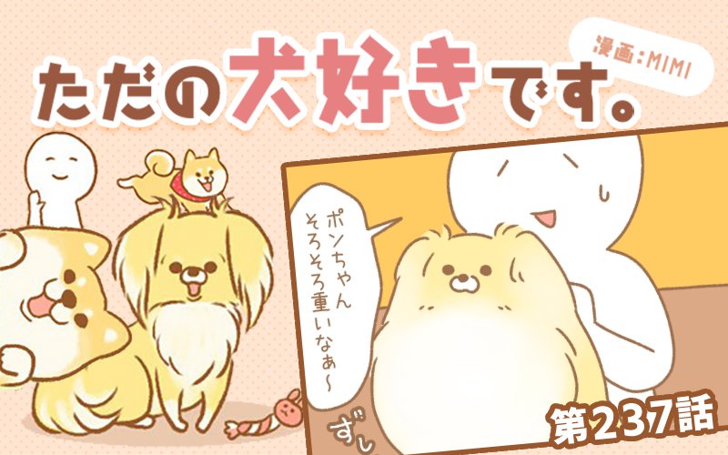 ただの犬好きです。【第237話】「お乗り換え」