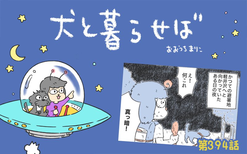 犬と暮らせば【第394話】「もしも世界がエマと私の二人だけだったら⑧」