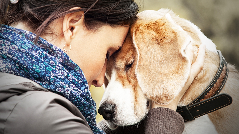 虹の橋を渡った愛犬に戒名はつけられるのか？