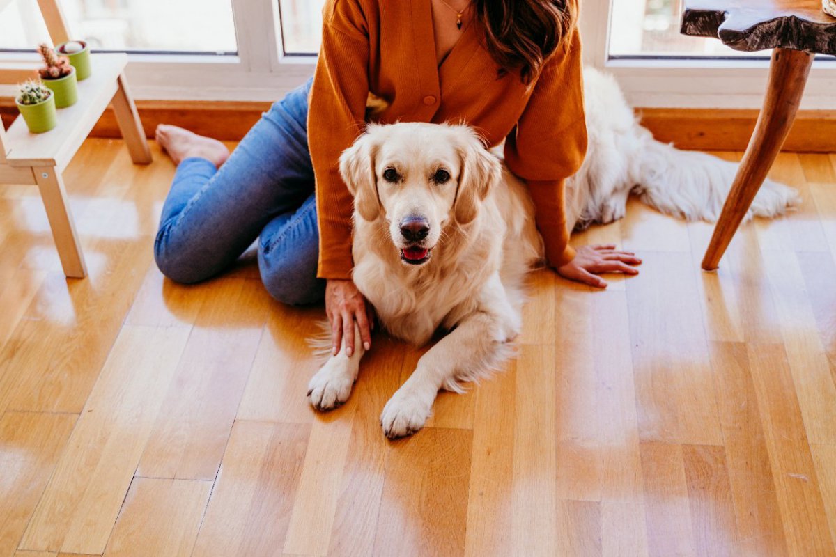 動物行動学の専門家が示した「最良の犬のトレーニング法」