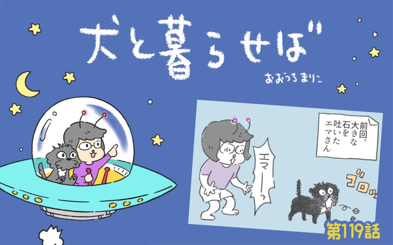 犬と暮らせば【第119話】「強い意志」