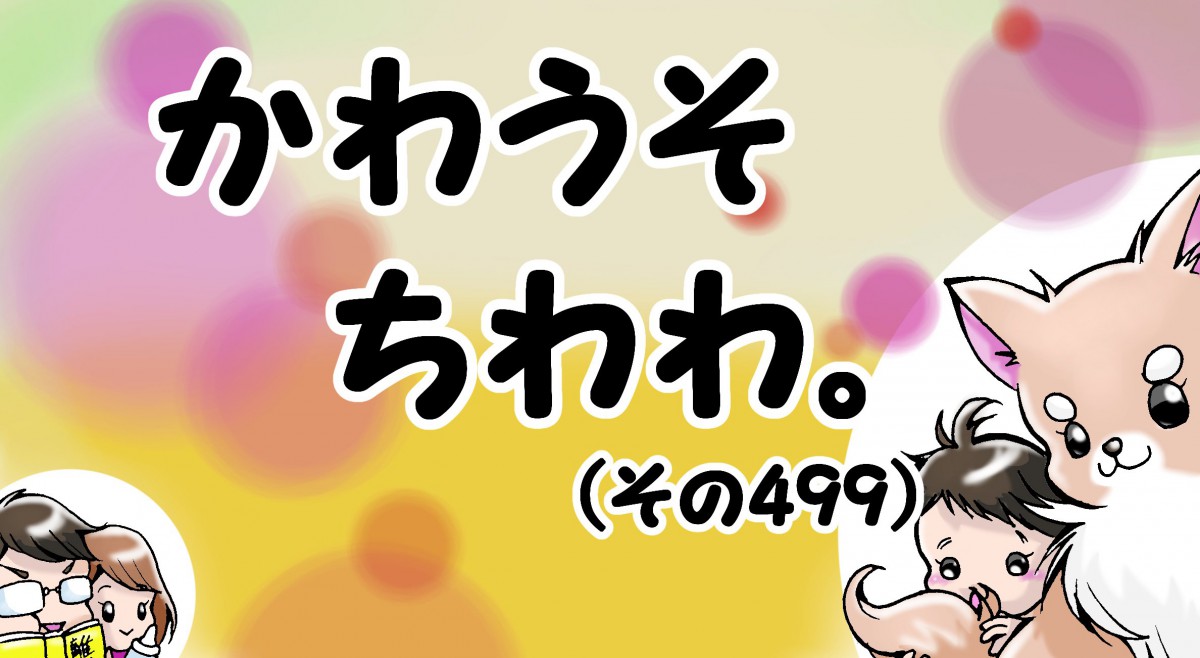 かわうそちわわ。【その499】「かわうそ家お決まりのオチ」