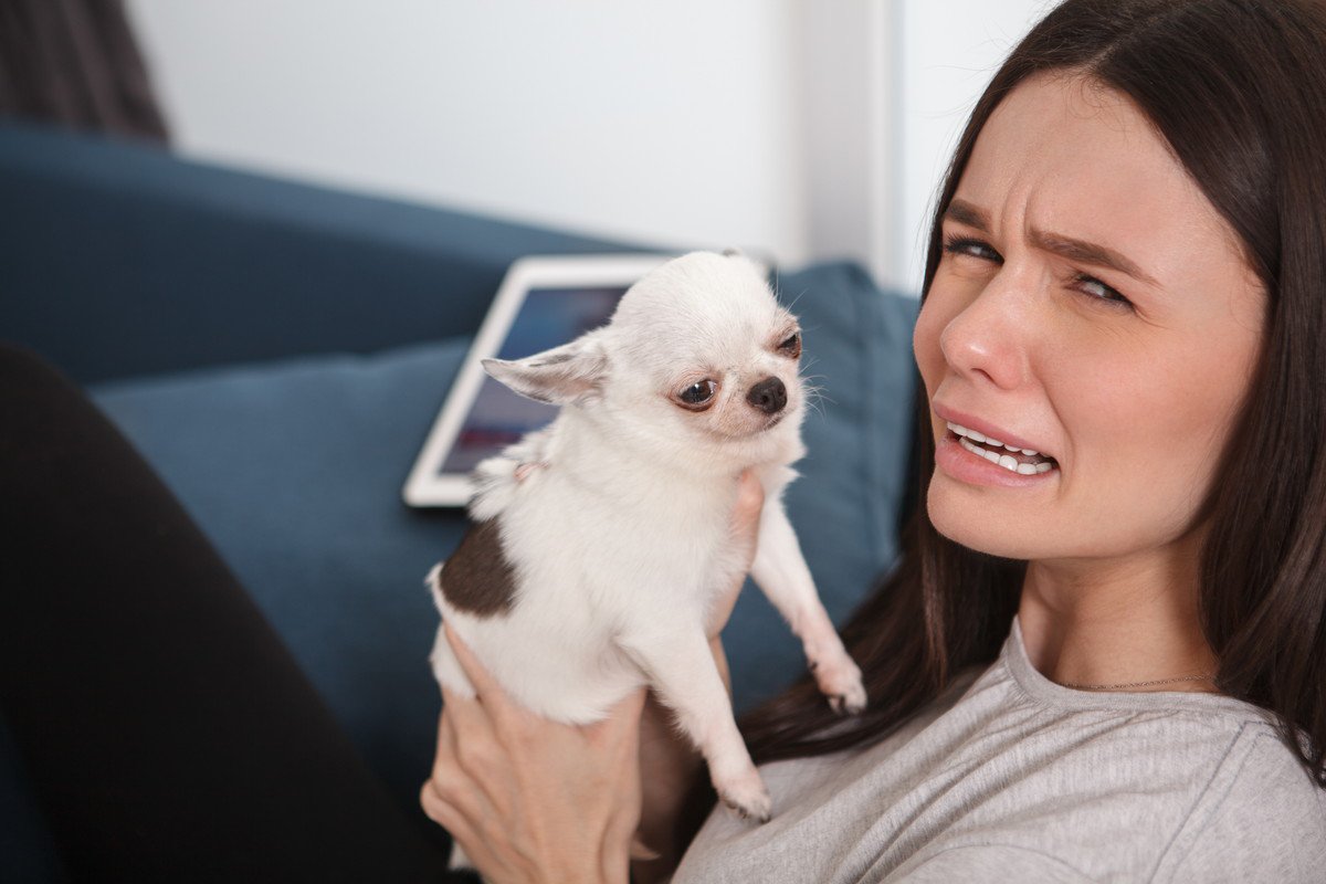 『犬の飼い主に向いていない人』の特徴4選　飼う前に必ず考えるべきライフスタイルの変化とは