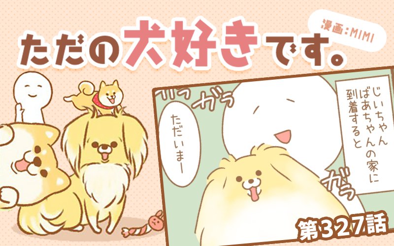 ただの犬好きです。【第327話】「帰省しました②」