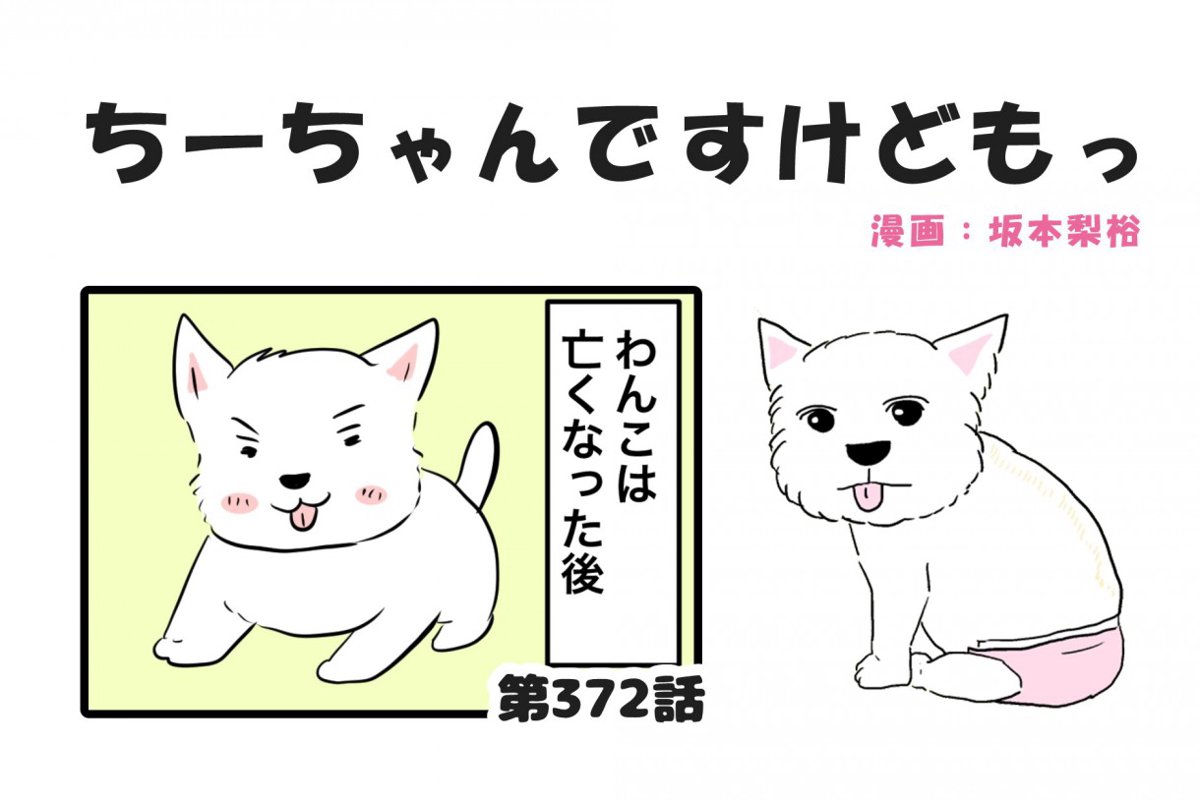ちーちゃんですけどもっ【第372話】「ちーちゃんはいま」