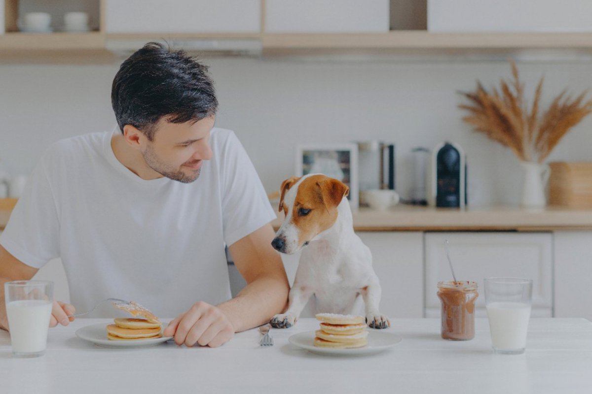 愛犬を『人間扱い』するのが危険な4つの理由　健康を損ねる原因にも…どんな意識で接するのがベスト？