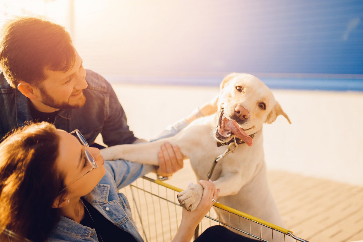 犬がワクワクした気持ちになっている時の仕草や行動4選♡