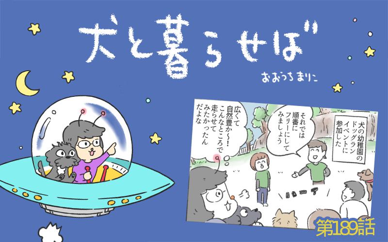 犬と暮らせば【第189話】「崖の上の…」