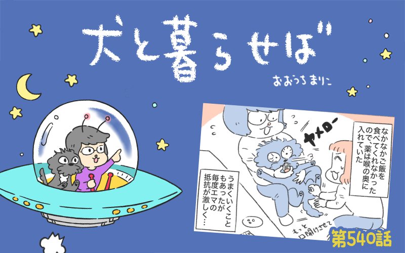 犬と暮らせば【第540話】「ゼッタイ飲まないマン」