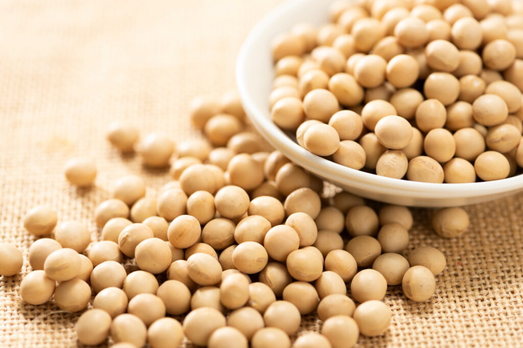 【獣医師監修】犬が大豆を食べても大丈夫？安全な与え方と適量の目安、節分の豆の注意点