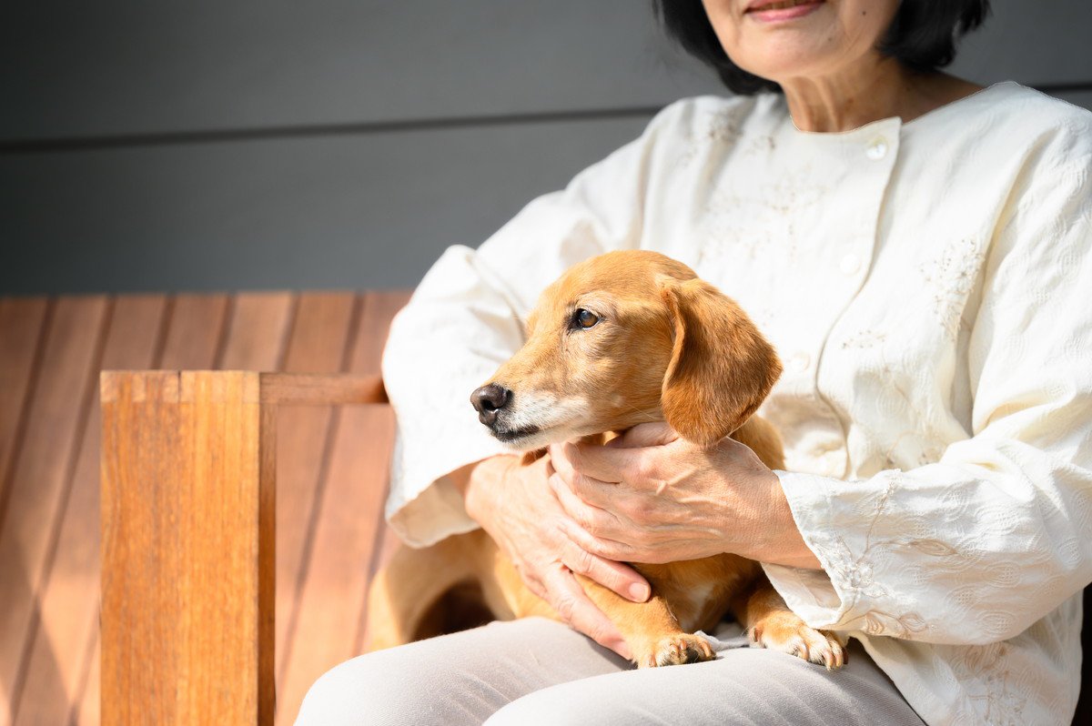 「動物介在介入（アニマルセラピー）」とは？種類や内容について詳しく解説！