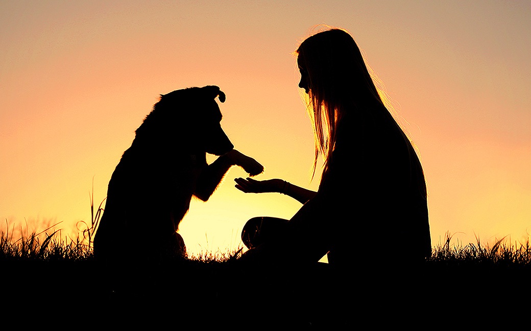 愛犬が教えてくれる大切な７つのこと