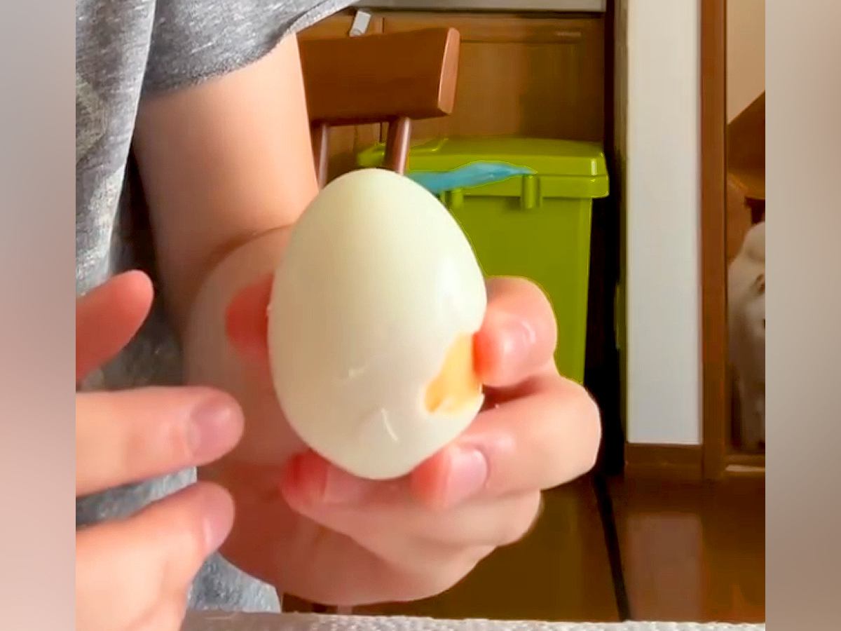 『大好きなゆで卵』をこっそりむいたら、犬はいつ気づくのか検証→思わず笑ってしまう『まさかの結果』が103万再生「顔ｗｗ」「耳いいのね」