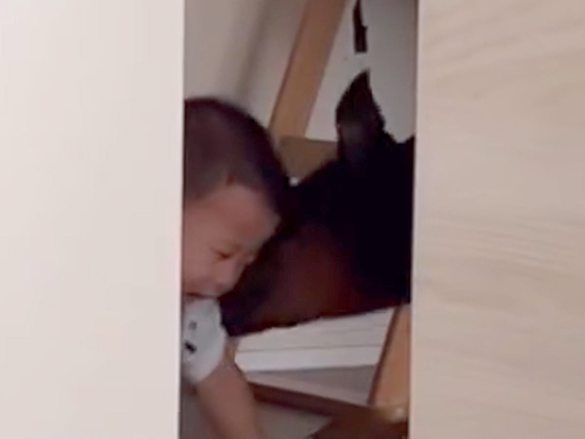 赤ちゃんと大型犬に『お昼寝するよー』と言って"寝たフリ"した結果→笑い声が聞こえてきて…まさかの光景が30万再生「素敵」「優しい」と反響