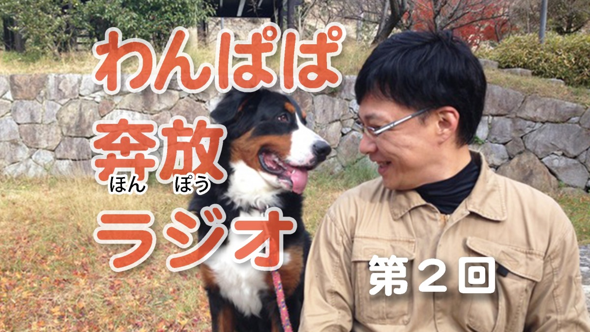 犬のおべんきょう♪わんぱぱ奔放ラジオ♪ 第2回♪