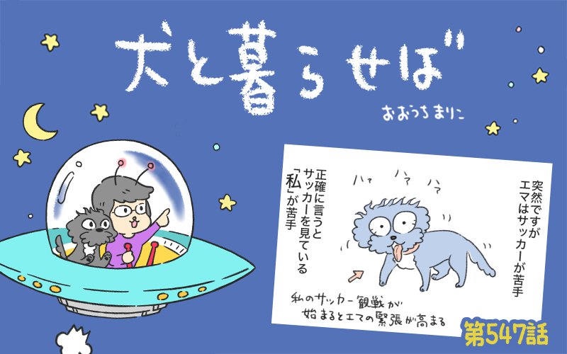 犬と暮らせば【第547話】「エマとサッカーと私2026」