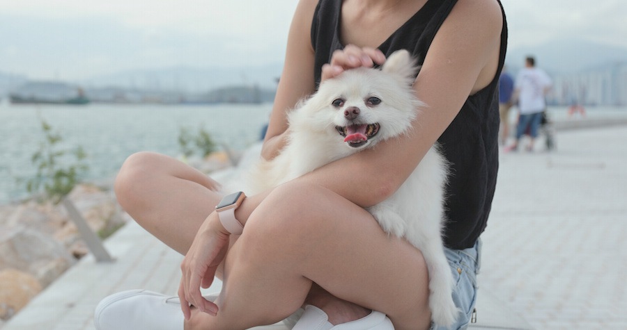 犬を飼って変わった自分の生活７つ