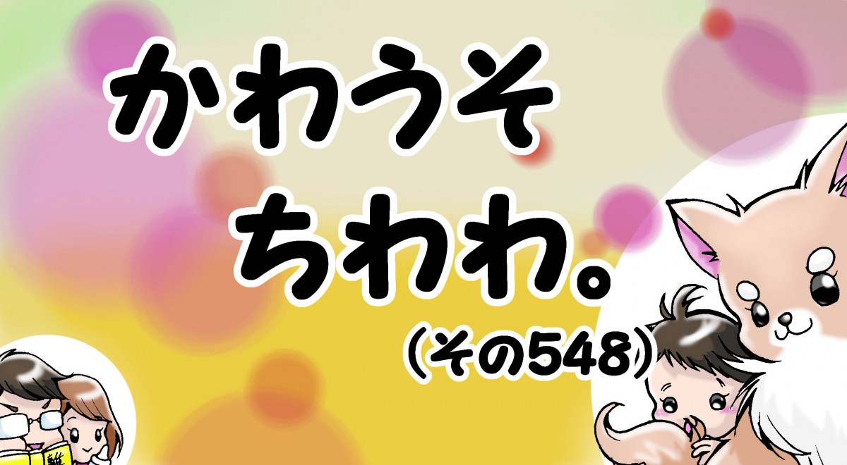 かわうそちわわ。【その548】「おかーちゃんには調理を催促しない」