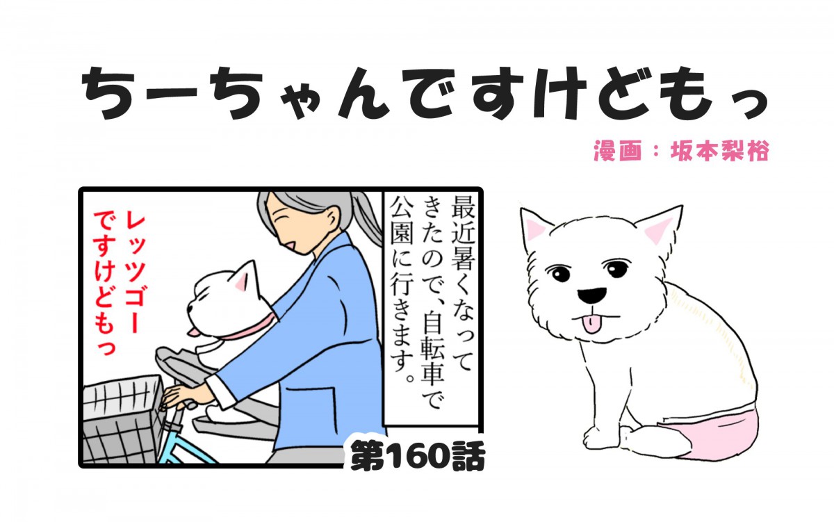 ちーちゃんですけどもっ【第160話】「ずっと大人にならないでね」