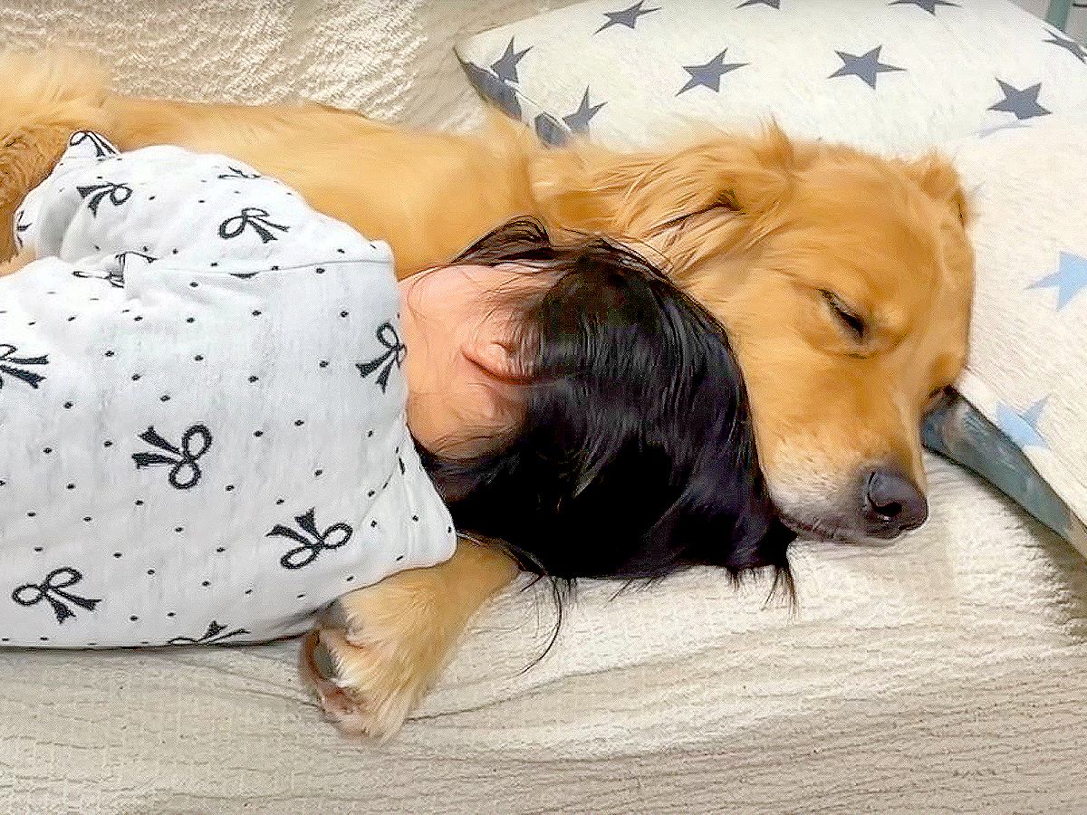 大型犬が『世界一大切そうに抱えて』眠っているのは…「涙出そう」「破壊力がすごい」最強にかわいいコンビが159万再生を突破