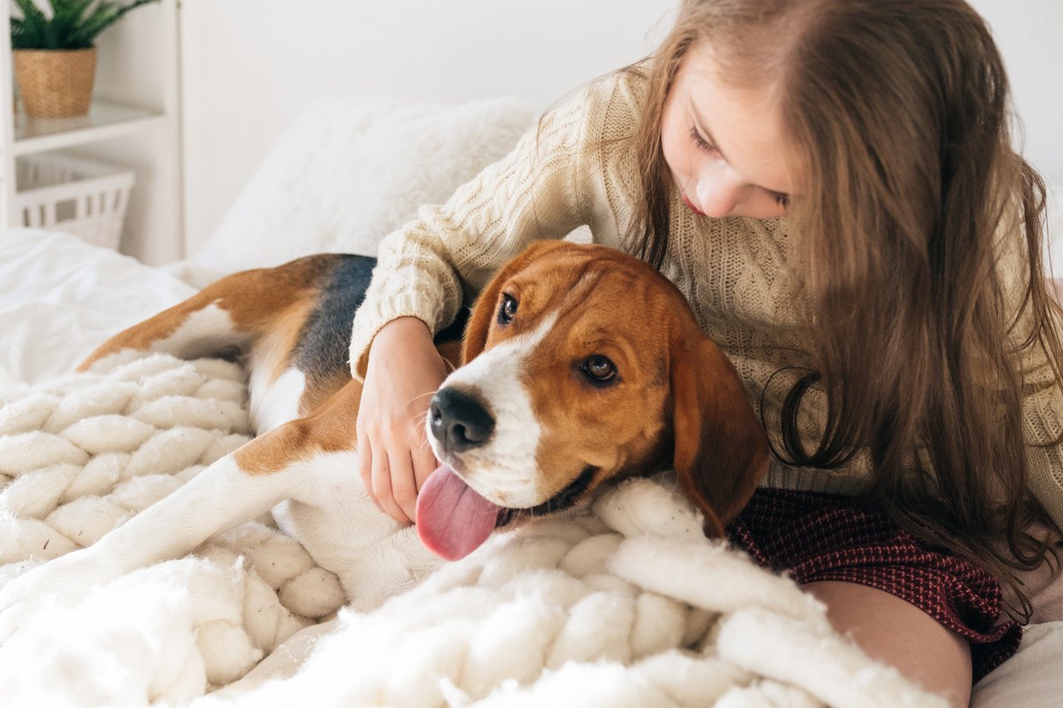 本当に好かれてる？仲良しな犬の行動4選！