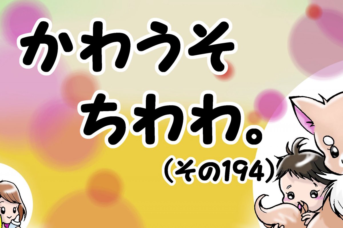 かわうそちわわ。【その194】「毛量ストック不足」