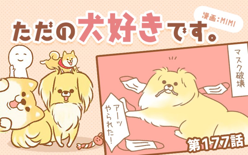 ただの犬好きです。【第177話】「マスクあそび」