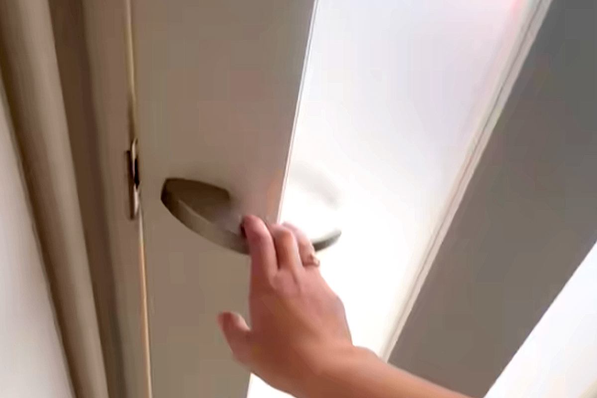 愛犬たちと『3秒間だけ』離れてみた結果→ドアを開けた瞬間に…予想を超える反応が愛おしすぎると6万再生「可愛いが渋滞」「最高な空間」と絶賛