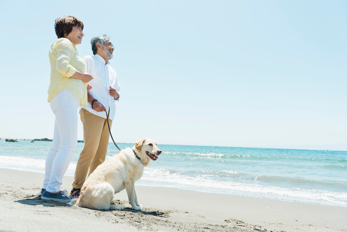 飼い主の万が一に備えて…愛犬の未来を守る保険、知っていますか？