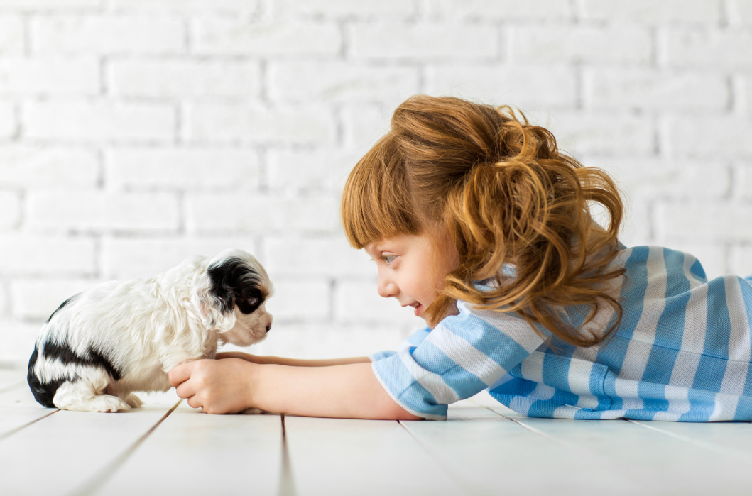 【一歩間違えると悪影響に】子犬とのコミュニケーションにおける注意点