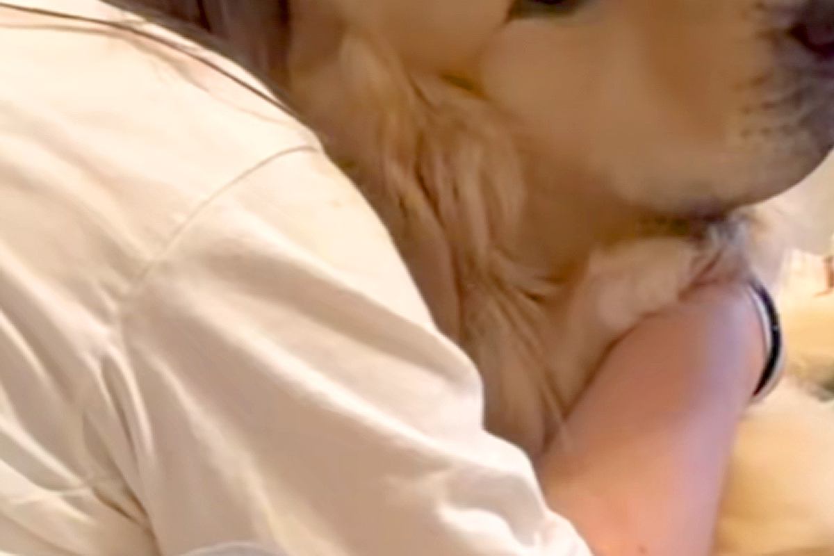 『ドラマで号泣する娘』に抱きつかれた大型犬→『どうすればいいですか…？』助けを求めている表情が80万再生「優しい」「安心して泣ける場所」