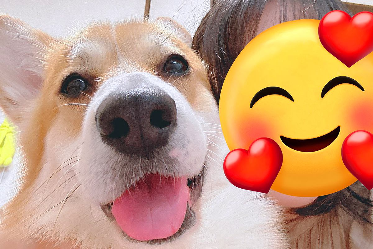 犬と撮影した『盛れた写真』→実は何度か撮っていて…あまりに愛おしい『盛れなかったパターン』に1万いいね「どこ見てんだろｗ」「かわいい」
