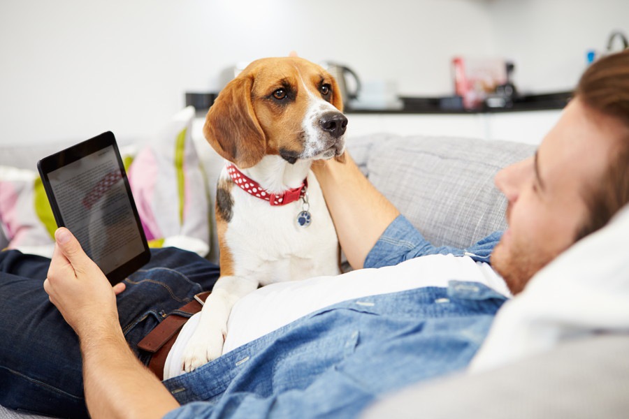 犬は飼い主の休日が分かる？