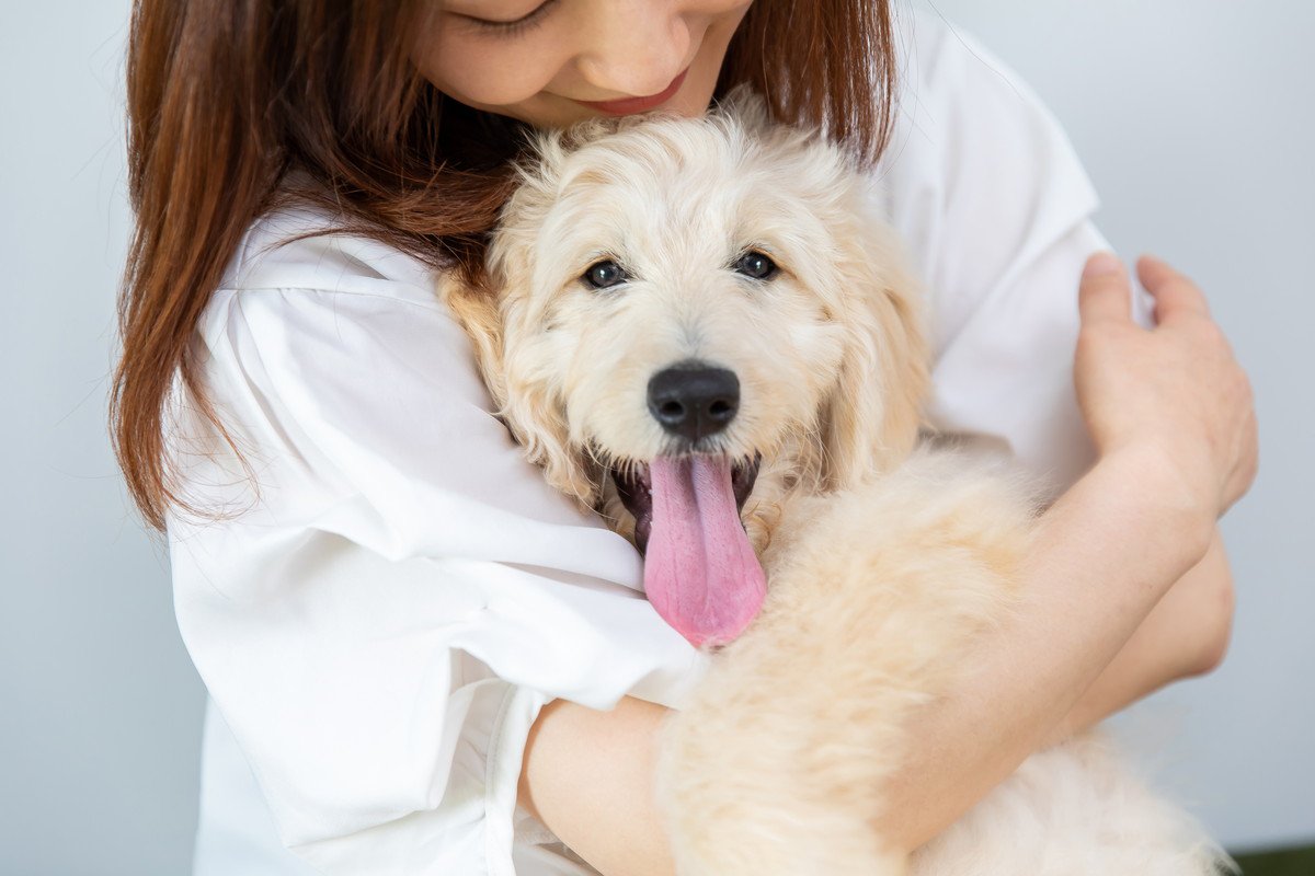 犬を『幸せ』にするためにできること5選　今日からできる生活の満足度を高めるコツとは？
