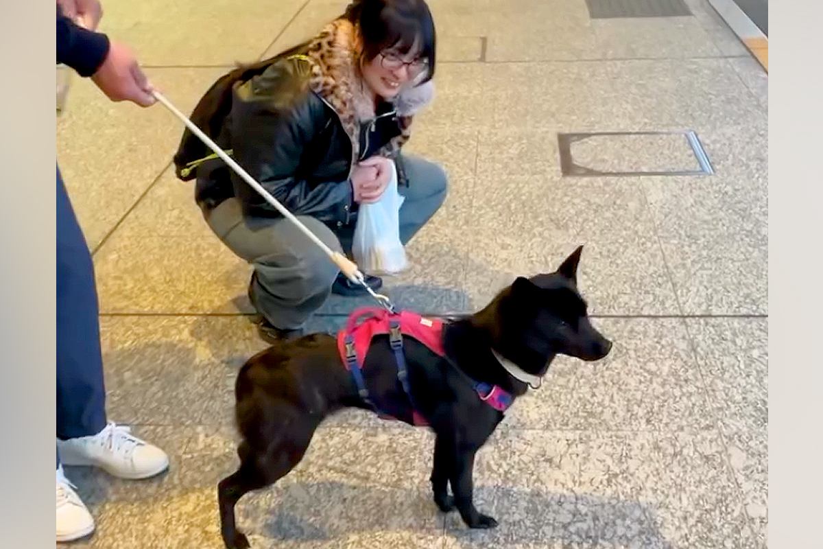 犬と一緒に『娘を空港までお迎えに行った』結果→なぜか無視されて…気付いた瞬間の『大歓迎』に反響　全力の"おかえりなさい"に思わずほっこり
