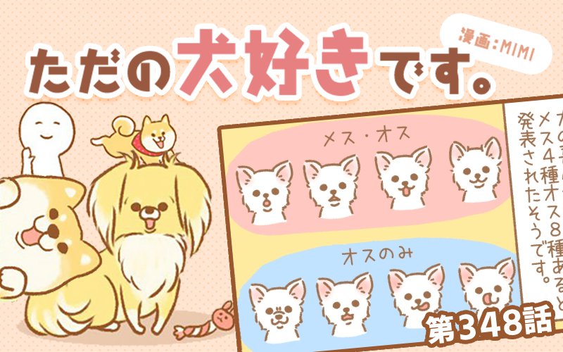 ただの犬好きです。【第348話】「嬉しい表情」