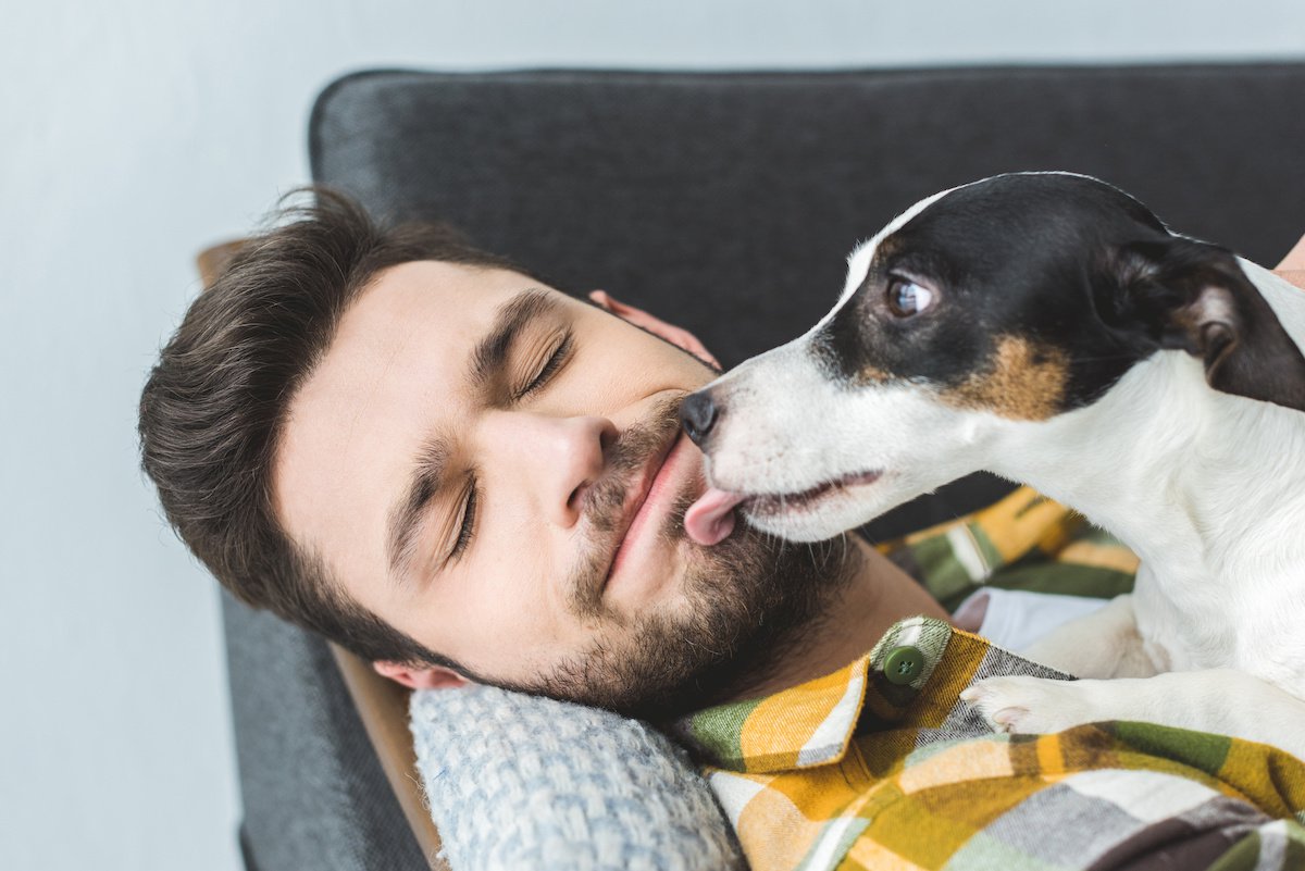 犬の『顔面ペロペロ』が止まらない時はコレをして！落ち着いてもらうための対処法２つ