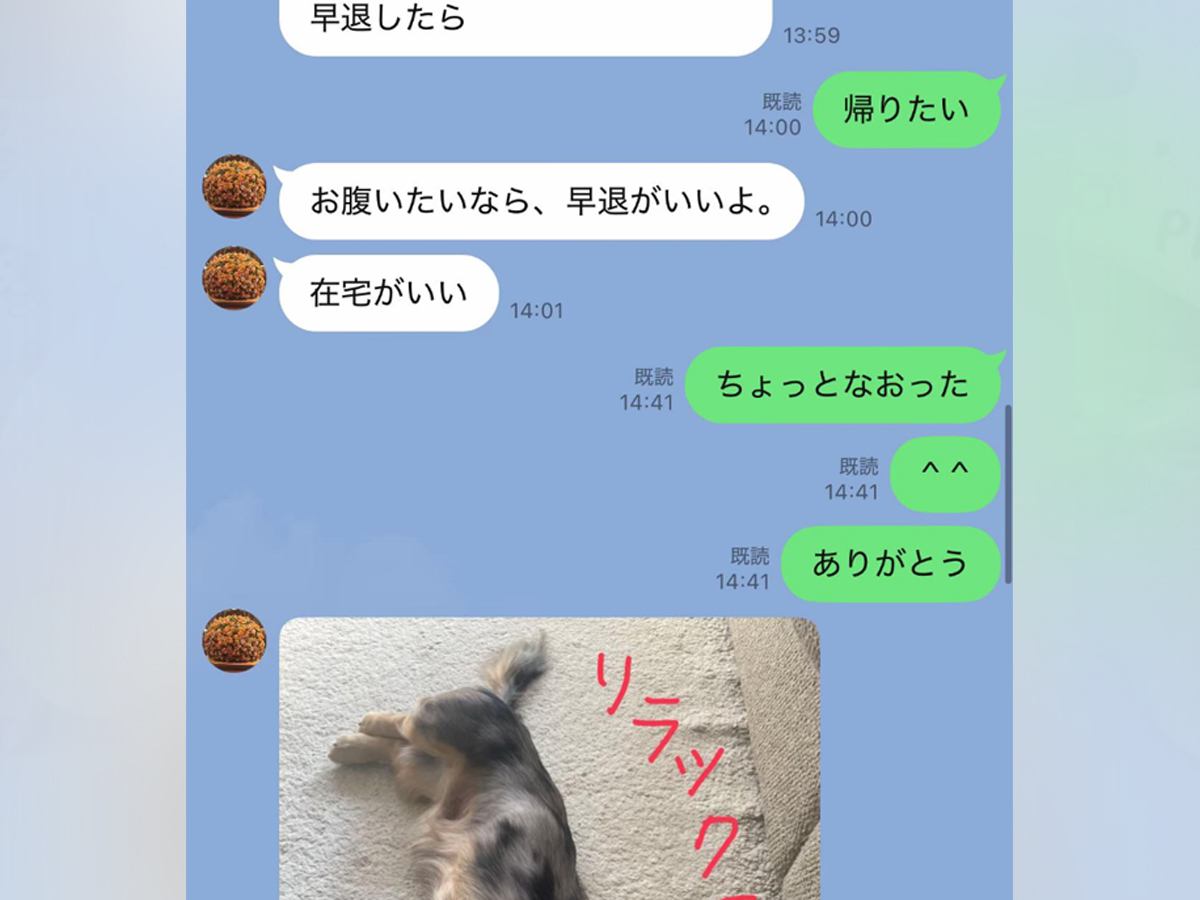 母とのLINE→いつも『犬の写真付き』で返信がきて…とんでもなく癒される『家族愛にあふれた光景』に思わずホッコリ「素敵な関係性」の声も
