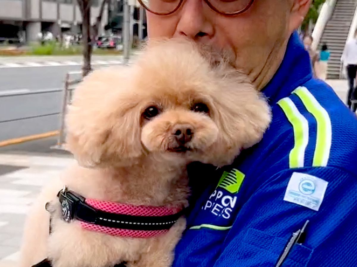 １年ぶりに『大好きな配達員さん』に会えた犬…思わず笑みがこぼれる『感動の再会』に「自分のことのように嬉しい」「織姫と彦星だね」と大絶賛