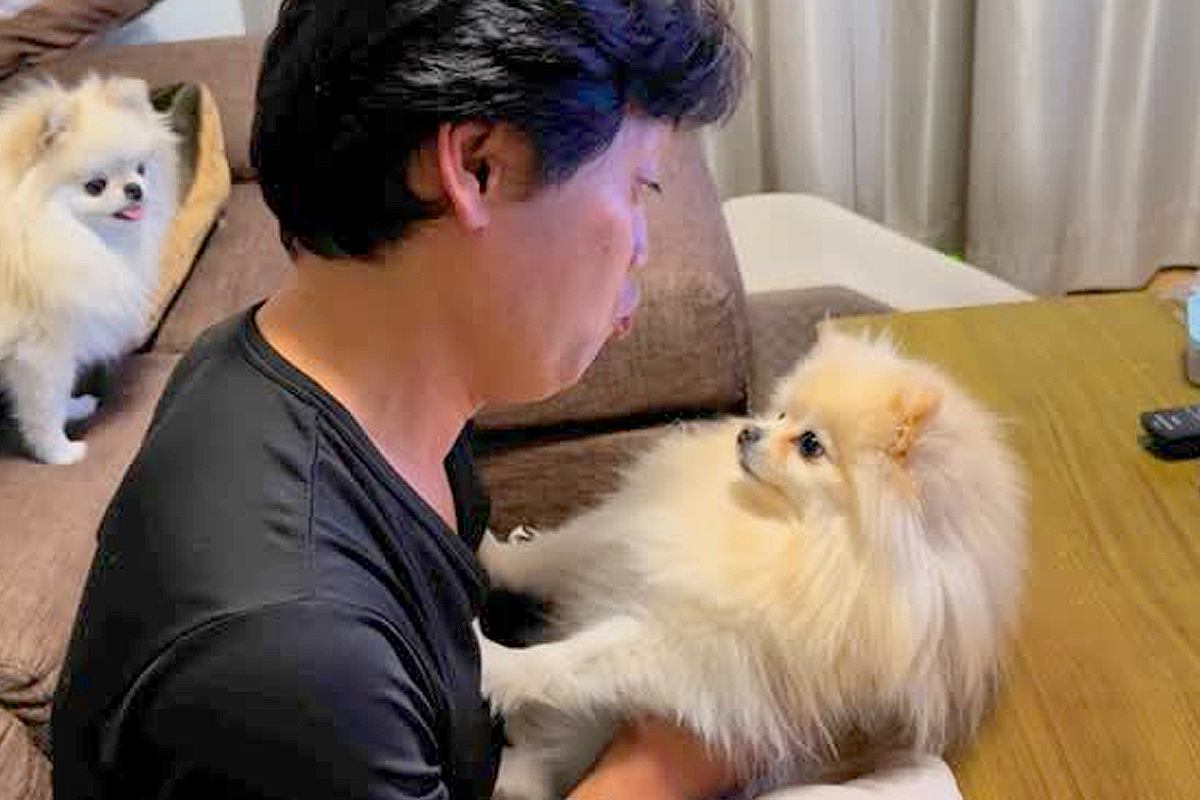 絶対に『パパとのチュー』をしたくない犬→ママが試してみた結果…辛辣すぎる『あからさまな態度』が364万再生「震えてるｗ」「切なくて草」