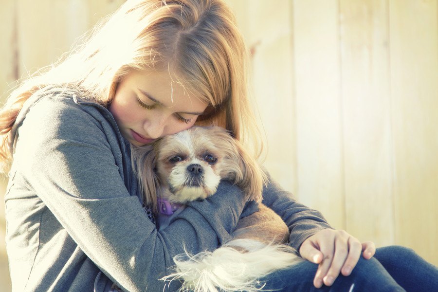 多頭飼いで仲間に先立たれてしまった犬への接し方