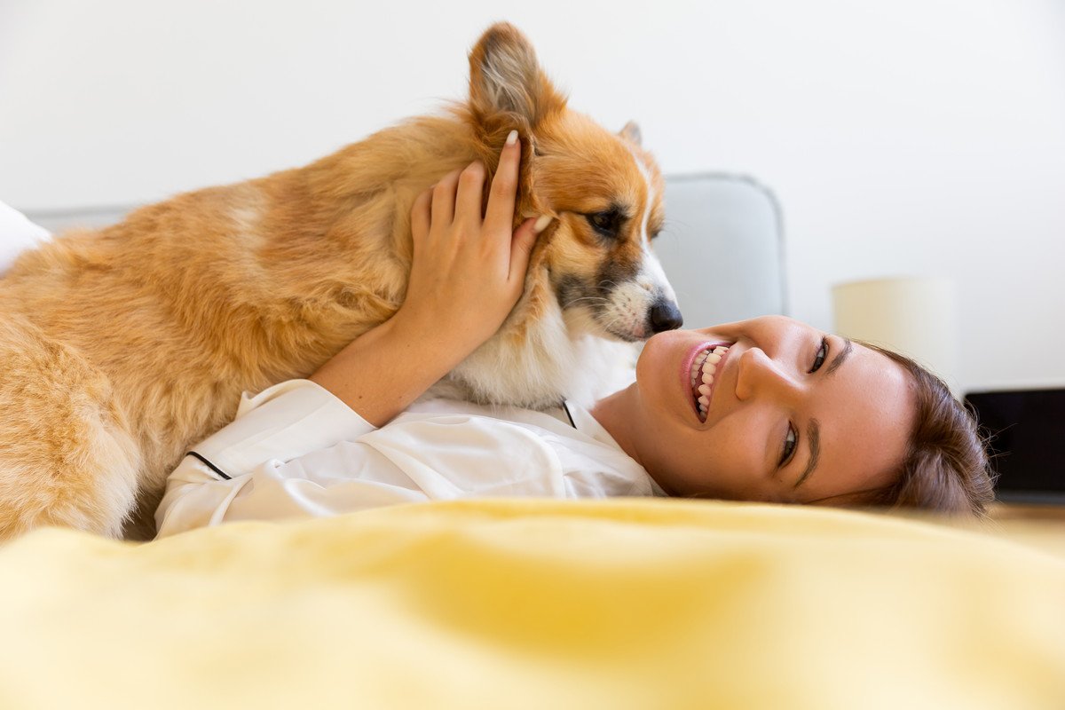 なぜ？愛犬が早朝に飼い主を起こす『4つの理由』