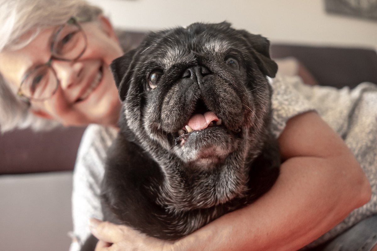 『長生きする犬』の特徴4選　愛犬の健康寿命を伸ばすポイントや長寿のために一番大切なことまで