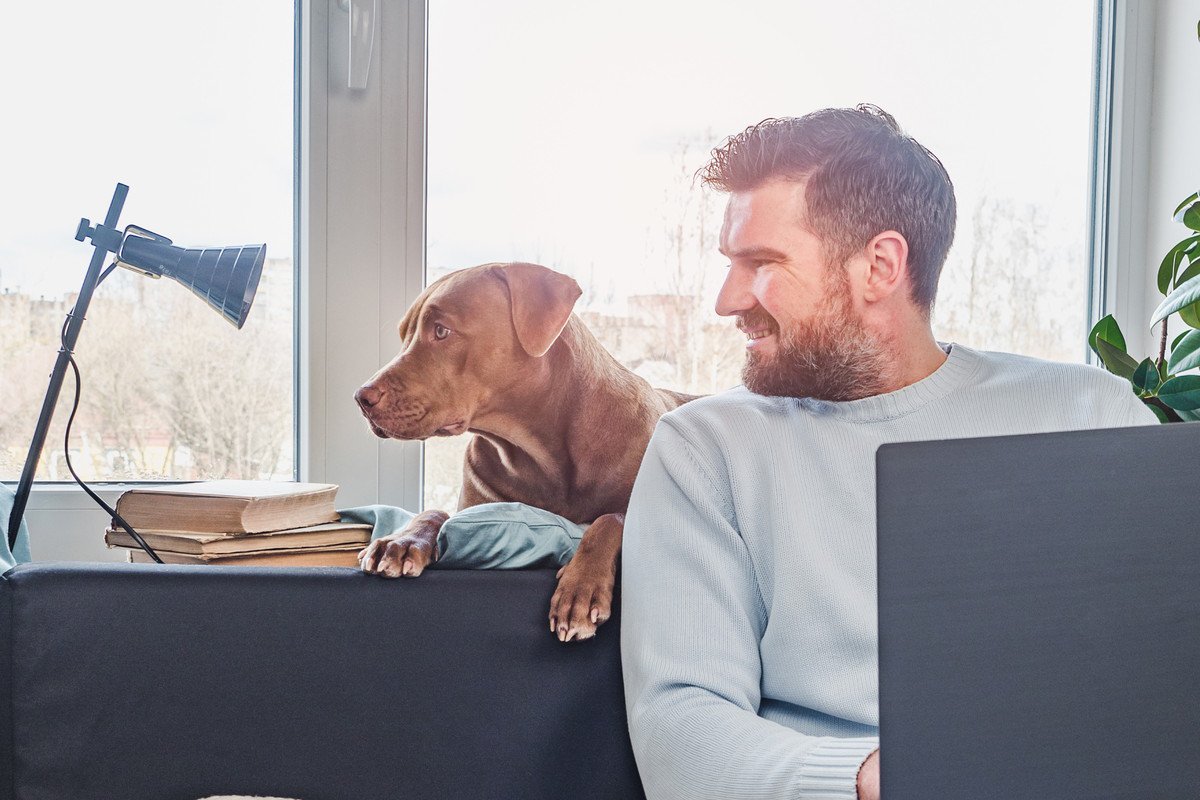 犬が『興味を持たない人』の特徴３つ　全く関心がないときに見せる態度や愛犬の気を引く方法まで