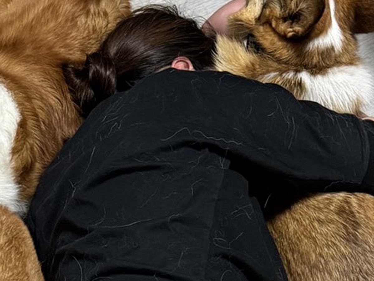 リビングで横になっていたら、5匹の犬が寄ってきて…もはや天国な『羨ましすぎるフォーメーション』に2万いいね「完璧ｗ」「囲まれたい」と悶絶